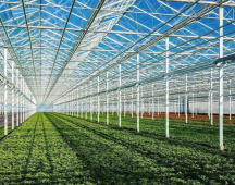 Диффузное стекло для теплиц: преимущества материала